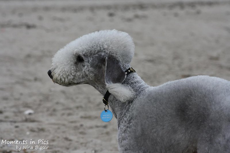 2010-06-26 Arc-en-ciel Arlequin (5).jpg